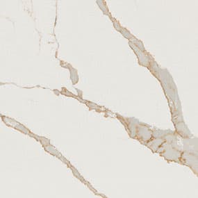 Calacatta Laza Oro sample